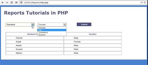 PHP Report Maker 12.0.7